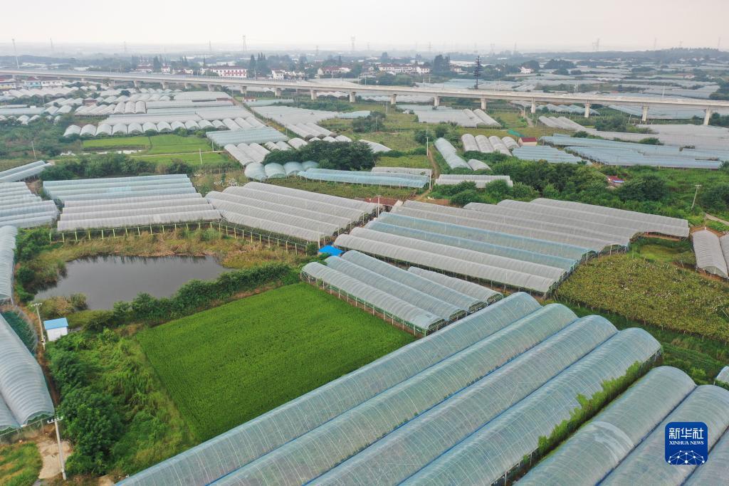 银河登录总站